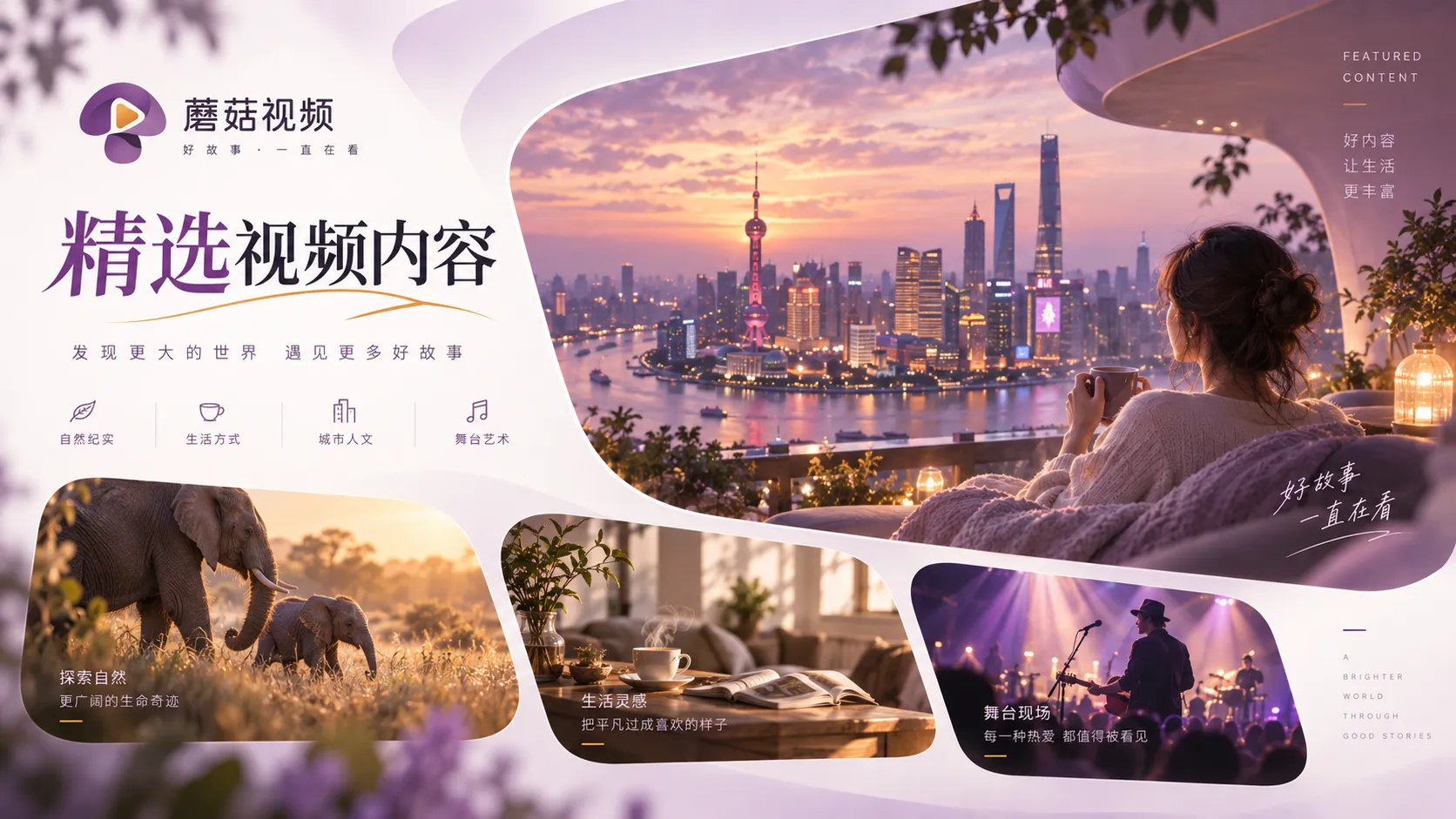 蘑菇视频视频在线观看主题内容整理